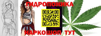 хмурый Малгобек