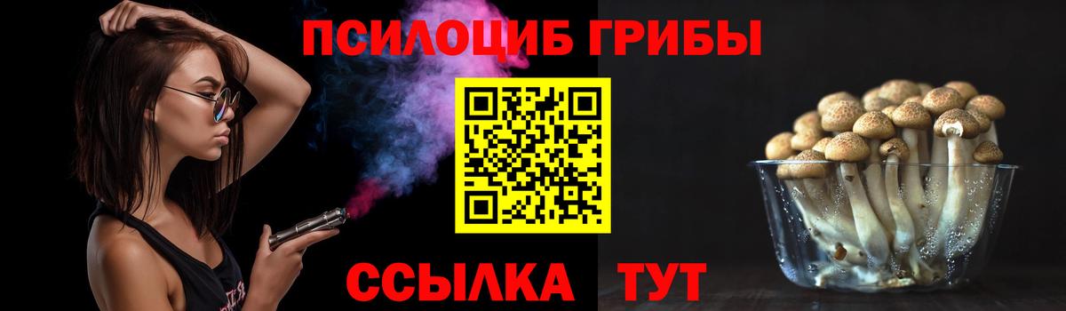 Галлюциногенные грибы Psilocybine cubensis  Псилоцибиновые грибы MAGIC MUSHROOMS  Вход с VPN  Гурьевск 