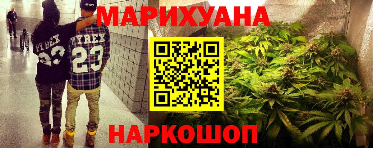Каннабис сатива Гурьевск
